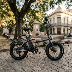 Bici electrica R20 TITAN PRO 48V 15.6ha G:6M